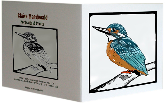 kingfisher card photo